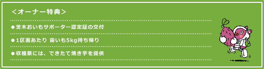 <オーナー特典>●茨木おいもサポーター認定証の交付 ●1区画あたり 宙いも5kg持ち帰り ●収穫祭には、できたて焼き芋を提供